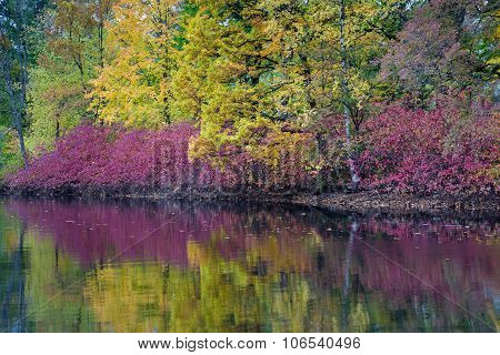 Beautiful And Picturesque River Bank, Amazing Colors Of Autumn.