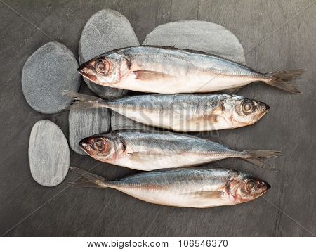 Small Fishes And Stones On The Dark Slate Board