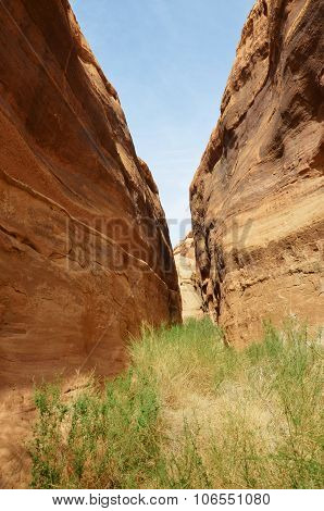 Red Rocks Canyon In Deser Landscape , Nature