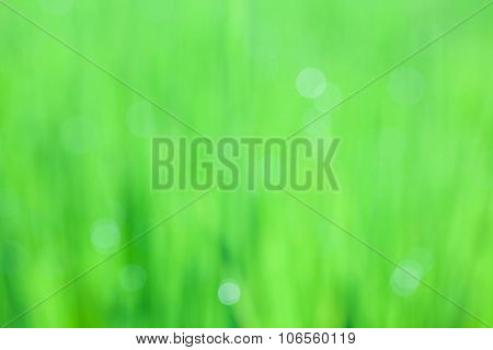 Abstract Van Green