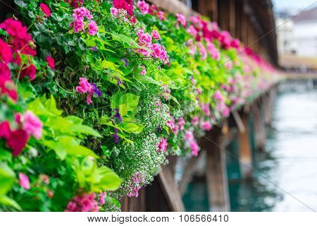 Flowers On The Chapel Bridge In Lucerne
