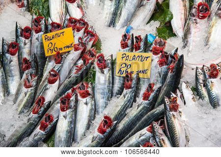 Fresh fish at a market in Istanbul
