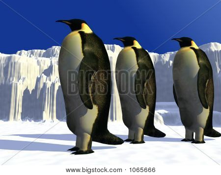 Pingüinos 2