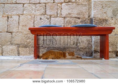 Red Bench With Blue Cushins In Front Of An Old Rough Textured Stone Wall