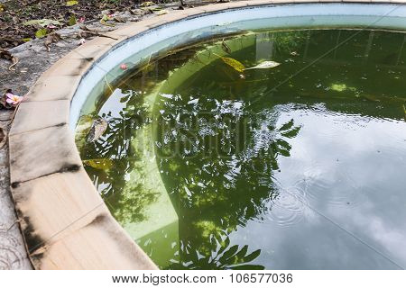 Abandoned swimming pool in home, dirty or uncleaned