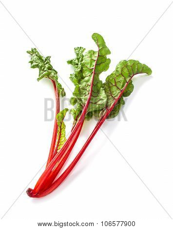 Swiss chard vegetable isolated on white background
