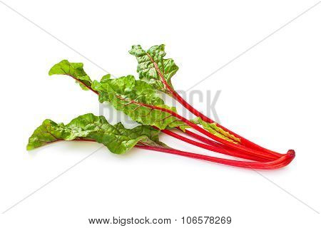 Swiss chard vegetable isolated on white background