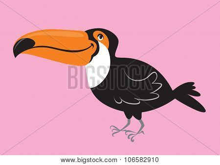 Toucan With Large Yellow Beak