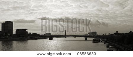 Cologne