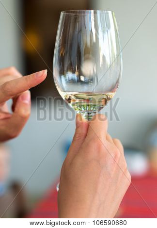 Sommelier shows on glass of white wine.