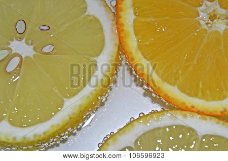 CITRUS