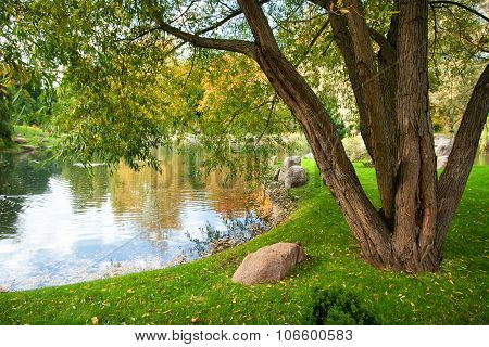 Park in october