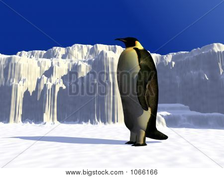 Penguenler 1