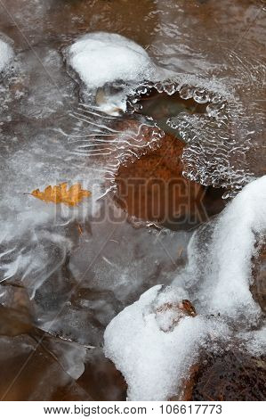 Fall leaf on a frozen stream