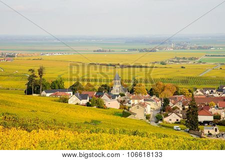 Champagne Wine Fields During Autumn. Village Of Oger.