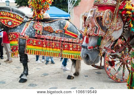Close up view of the horse
