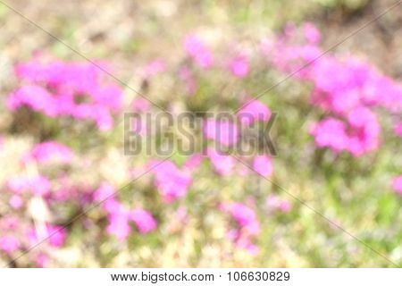 Abstract Nature Background