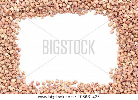 Buckwheat