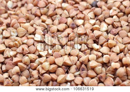 Buckwheat