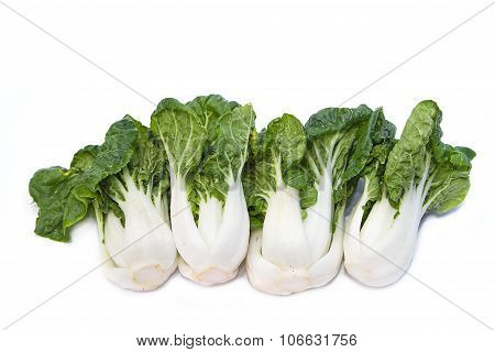 Baby Pak Choi On White Wooden Background