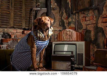 dog radioman in retro style
