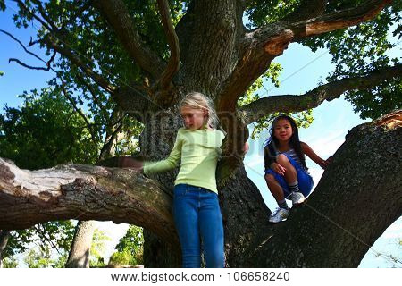 girls on a tree in south Sweden in the province of Skaane