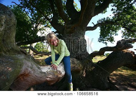 girl on a tree in south Sweden in the province of Skaan