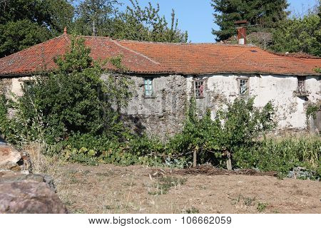 Village
