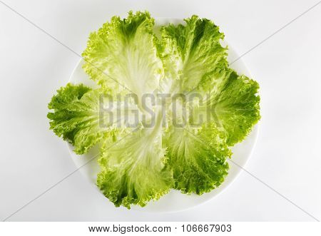 Healthy Eating. Fresh Green Lettuce In A Plate Isolated Over White Background