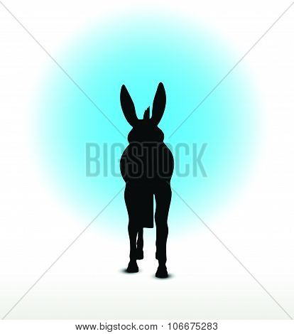 Donkey Silhouette