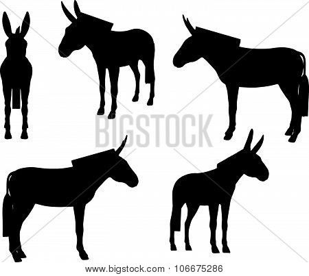 Donkey Silhouette