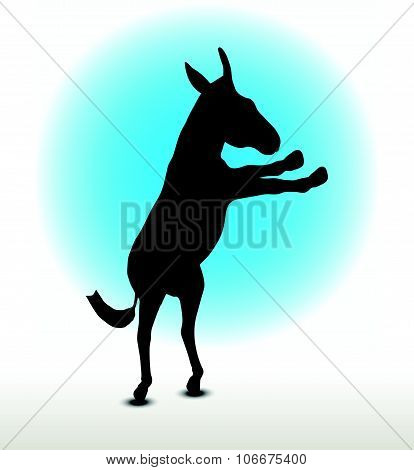 Donkey Silhouette