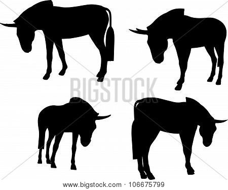 Donkey Silhouette