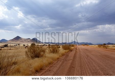 Fantrastic Namibia Desert Landscape