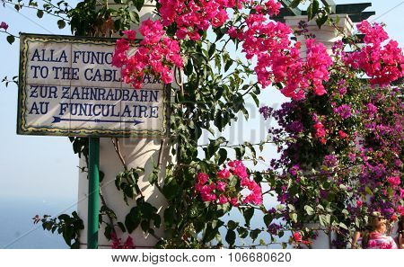 Cable car sign with flowers