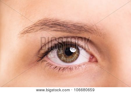 A close up shot of a healthy female eye and eyebrow without make up.