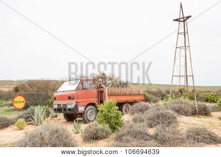 Display Of A Vehicle With Aloes And Quiver Trees