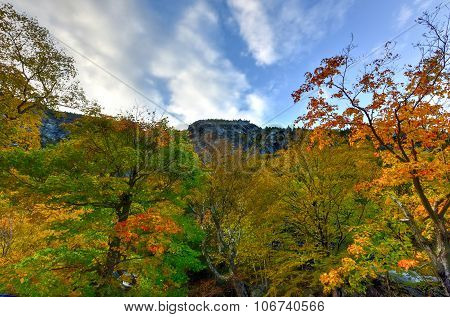 Fall Foliage Vermont
