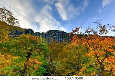 Fall Foliage Vermont