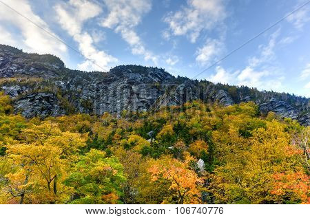 Fall Foliage Vermont