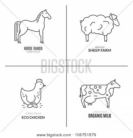Farm Animals