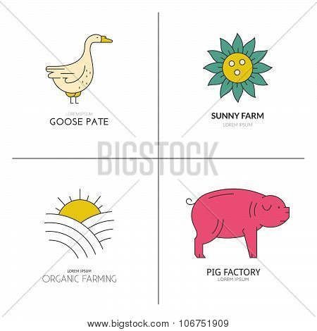 Colorful Farm Animals