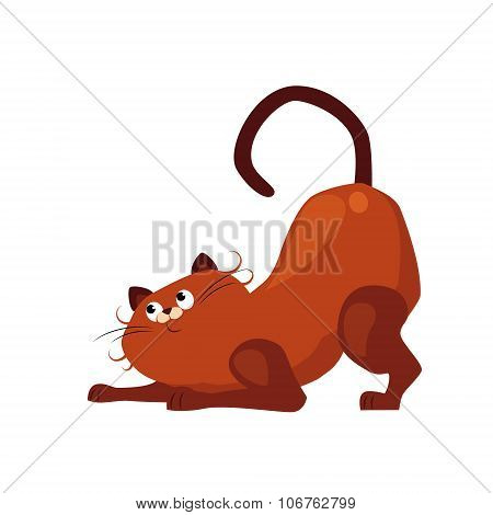 Stretching Cat. Flat Vector Illustration