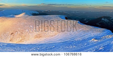 Evening Mountain Gold