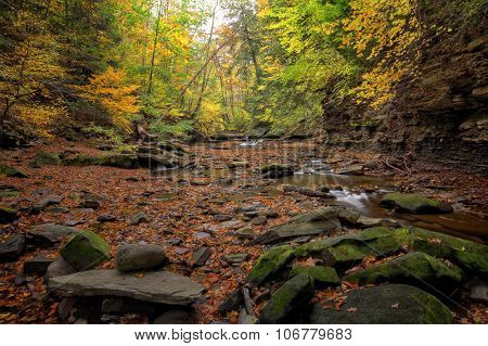 Autumn Waterfall