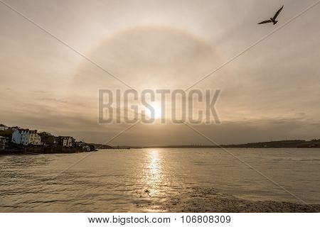 SUN HALO