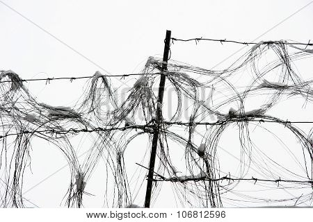 Barbed Wire Fence In The Snow