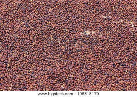 Various Kampot Pepper