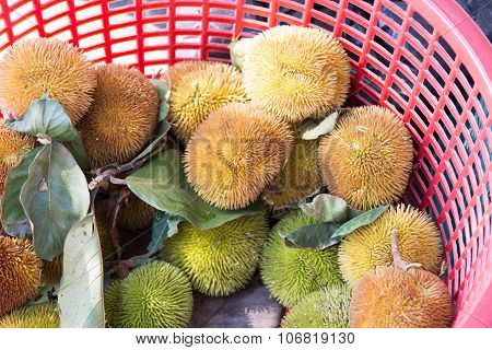 Rambutan