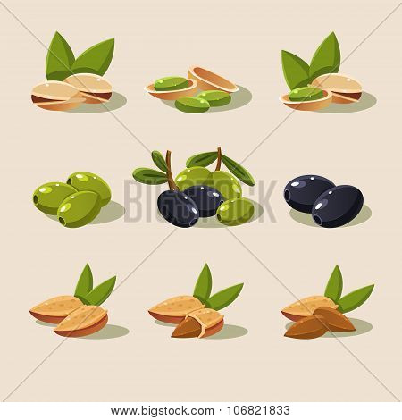 Olives and Nuts Vector Illustration Modern Design